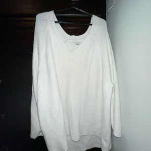 White American Eagle V Neck Saeater